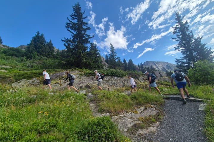 Full-Day Hiking Swiss Alps and Lake swim with Pick-up