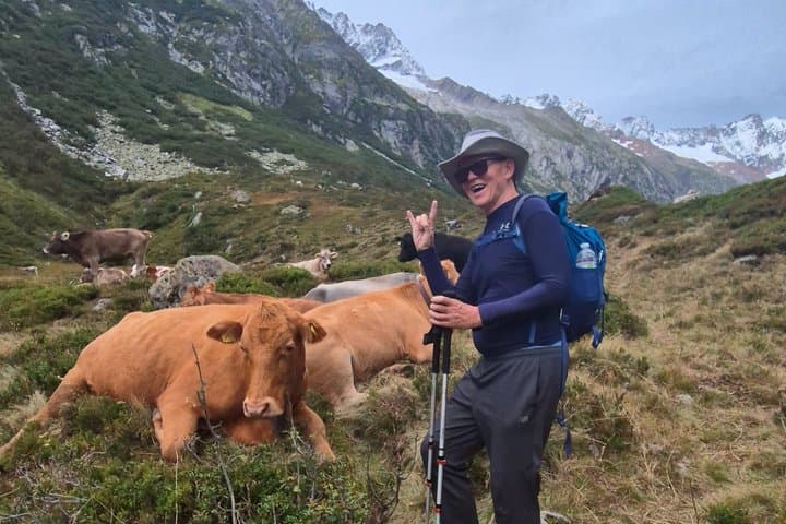 Full-Day Hiking Swiss Alps and Lake swim with Pick-up