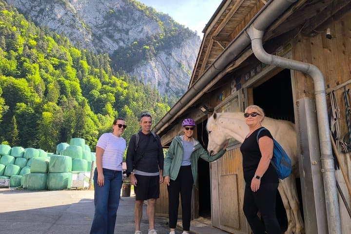 Interlaken 3-Hour Guided E-Bike Tour with a Farm and Ancient Villages Visit
