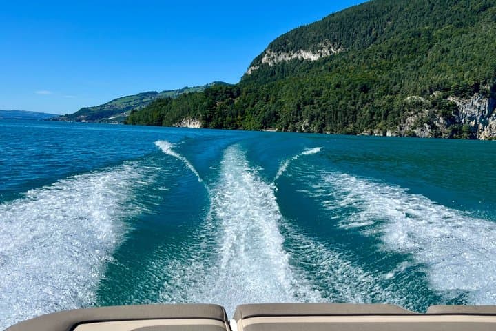 Boat trip on Lake Thun Individual and private with pleasure boat
