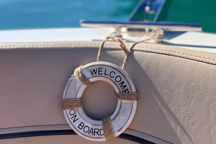 Boat trip on Lake Thun Individual and private with pleasure boat