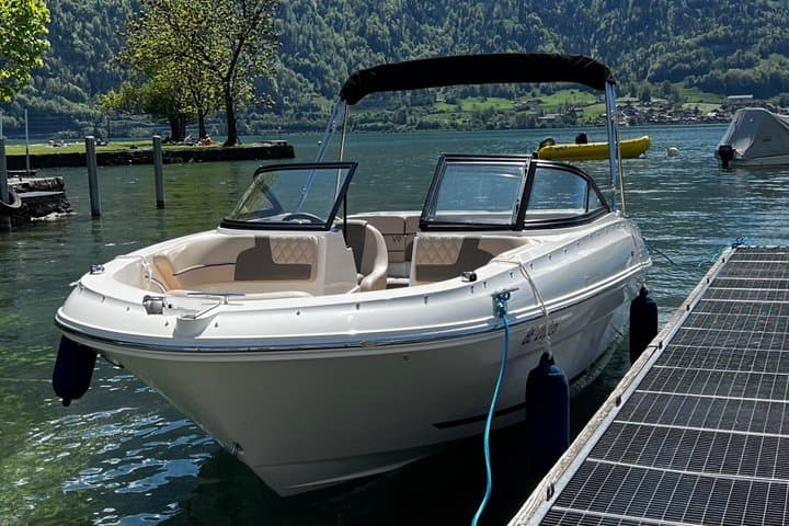 Boat trip on Lake Thun Individual and private with pleasure boat
