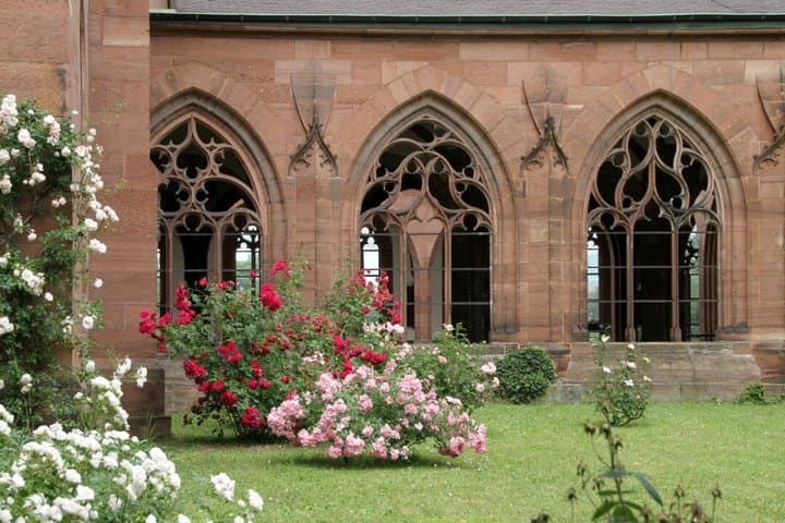 Uncover Basel A Self Guided Tour of Old Town Highlights
