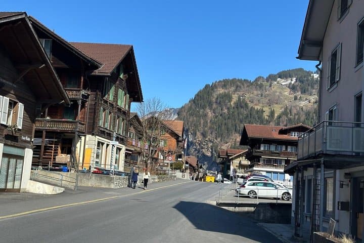 Daytrip Zurich Bernese Oberland