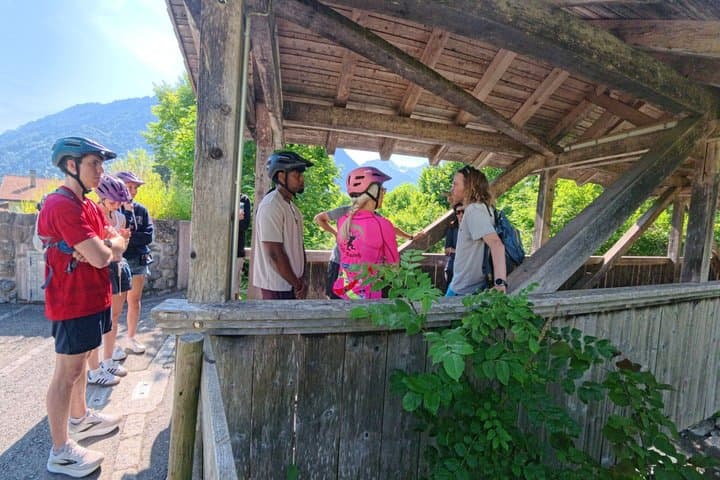 Lauterbrunnen E Bike Tour Valley of 72 Waterfalls 4 hours