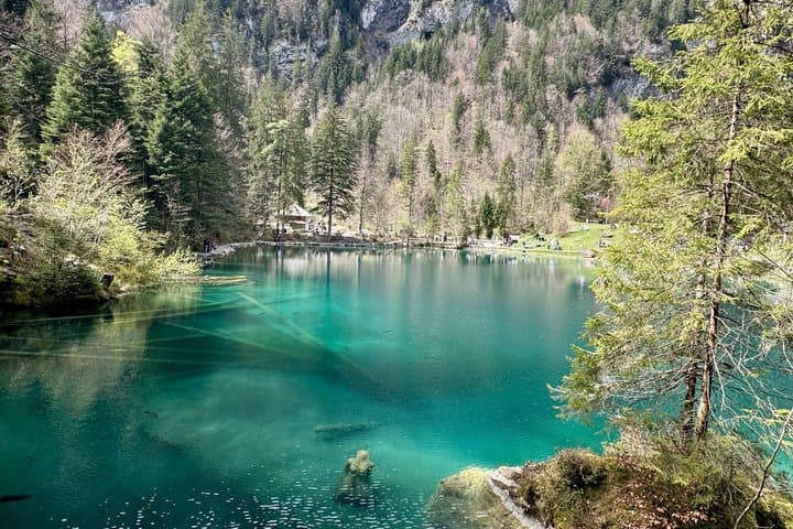 Interlaken Blausee Lake Escape with Boat Ride