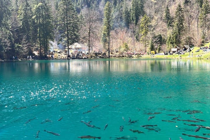 Interlaken Blausee Lake Escape with Boat Ride