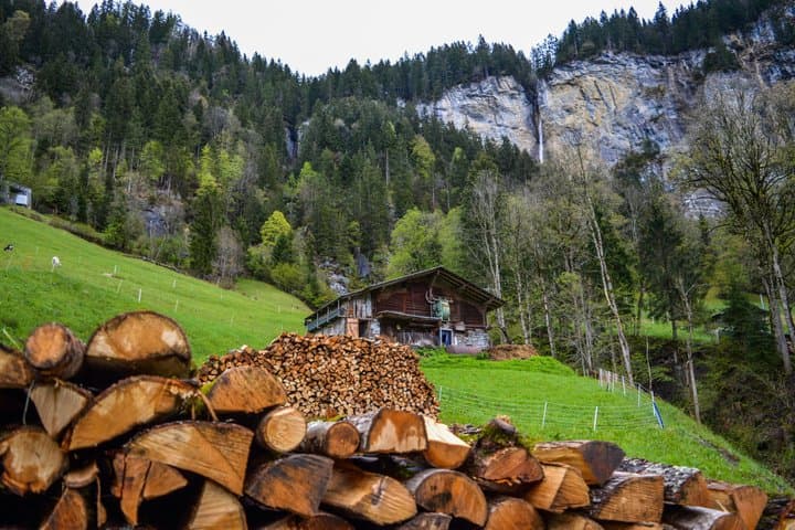 Interlaken Blausee Lake Escape with Boat Ride
