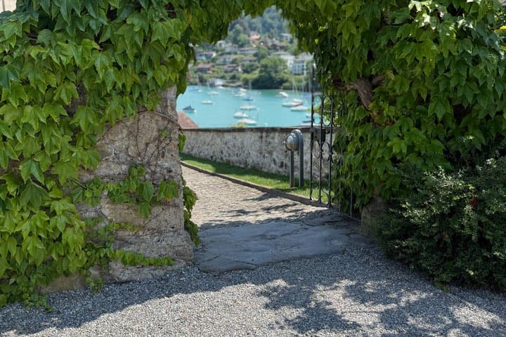Interlaken Lake Thun Three Castles Tour with Entry Tickets