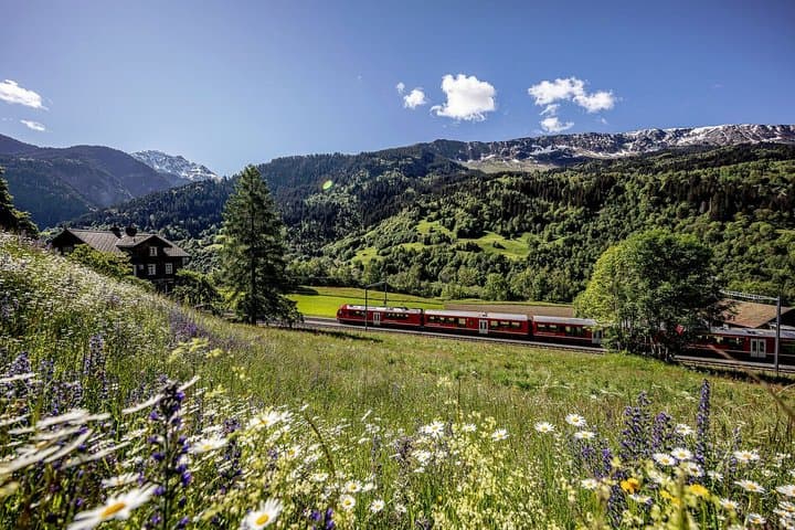 Glacier Express Route Private Tour