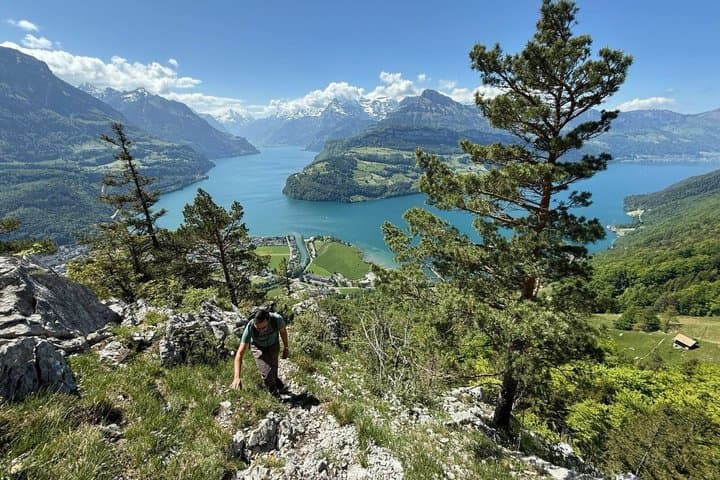 Private Day Tour from Zurich to Interlaken with Scenic Stops