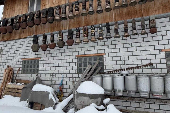 Swiss Alps Mountain and Villages Private Tour