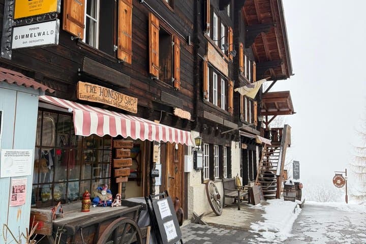 Swiss Alps Mountain and Villages Private Tour