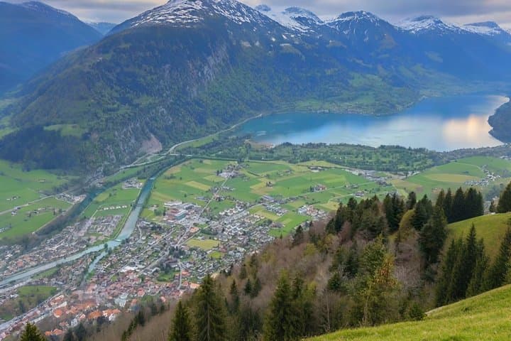 Private Swiss Alps Tour Interlaken Grindelwald and Lauterbrunnen
