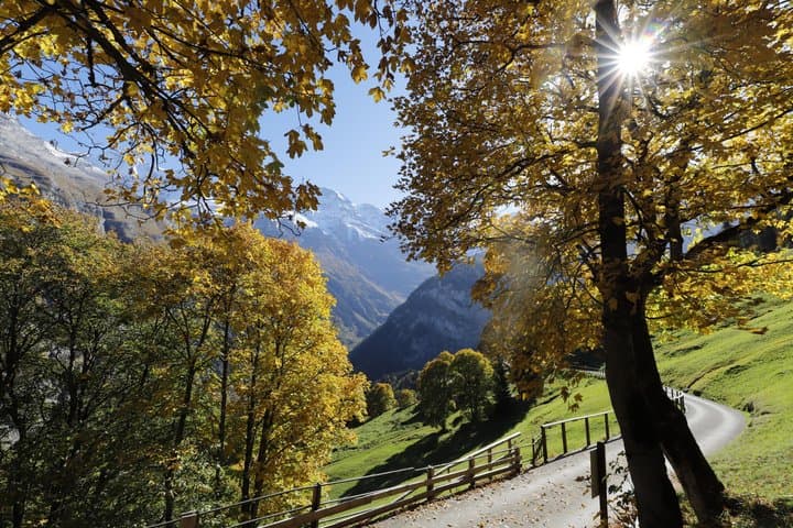 Swiss Alps Mountain and Villages Private Tour
