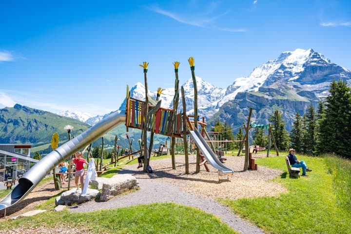 Swiss Alps Mountain and Villages Private Tour