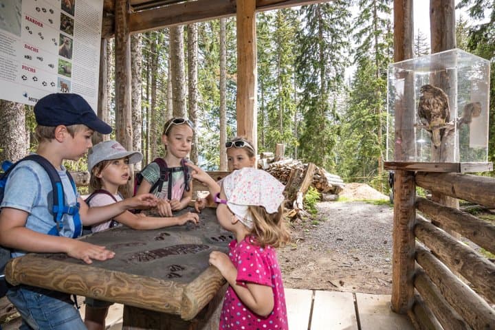 Betelberg Murmeli Trail with interactive playstations
