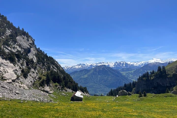 From Lucerne private tour to Mt Pilatus and lake Lucerne cruise