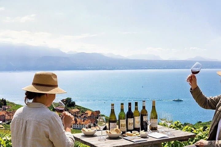 Swiss Alps Discovery Gorges Underground Lake and Wine