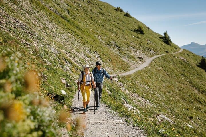 Adelboden Easy Flower Trail on Vogellisi Mountain