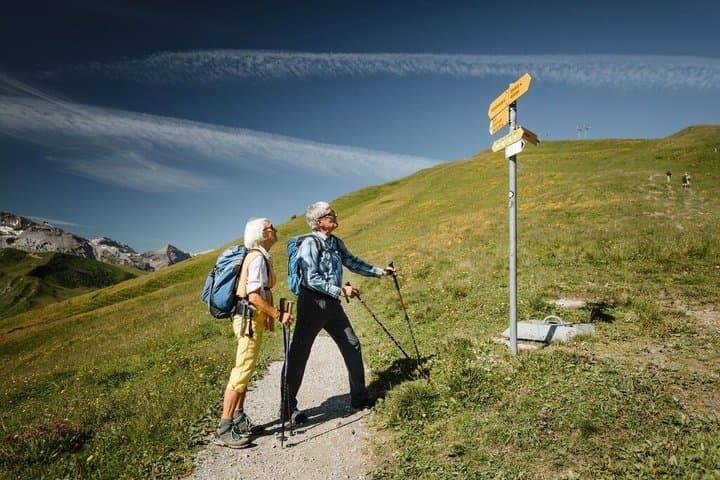 Adelboden Easy Flower Trail on Vogellisi Mountain