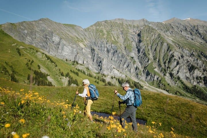 Adelboden Easy Flower Trail on Vogellisi Mountain