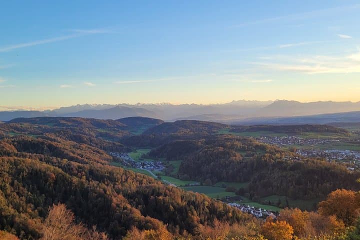 FIFA Museum and Mount Uetliberg Day Trip