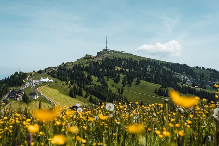 Mount Rigi Day Pass + Mountain Spa Day Admission