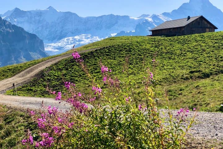 Private Trip to Grindelwald & Lauterbrunnen by Train from Zurich