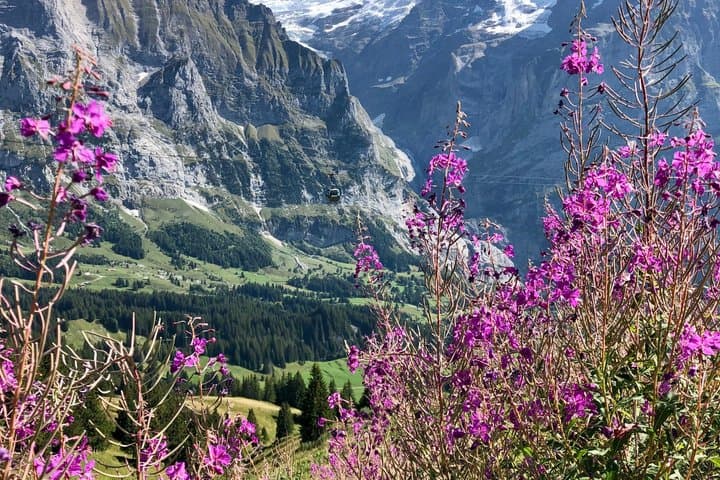 Swiss Alps Icons: Grindelwald & Lauterbrunnen Private Day Trip