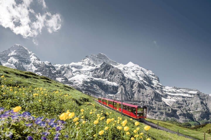 Jungfraujoch Top of Europe Ticket with Scenic Swiss Alps Railway
