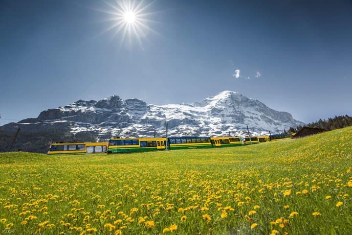 Jungfraujoch Top of Europe Ticket with Scenic Swiss Alps Railway