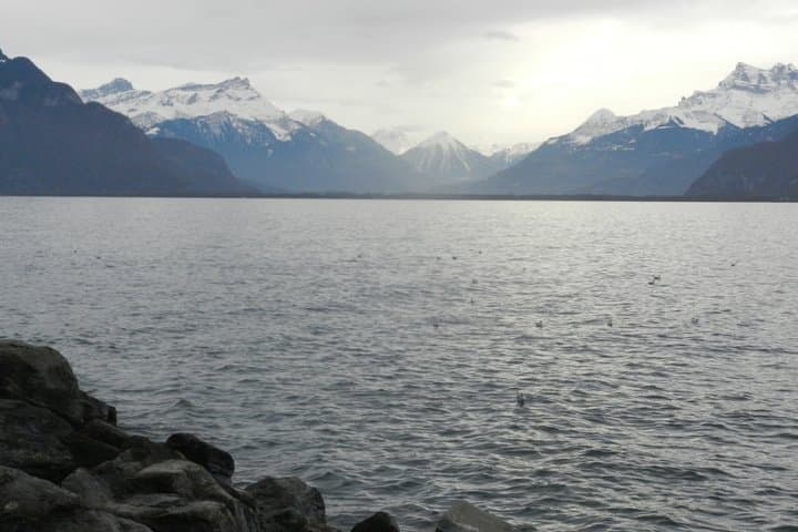 Discovering the birds of Lake Geneva