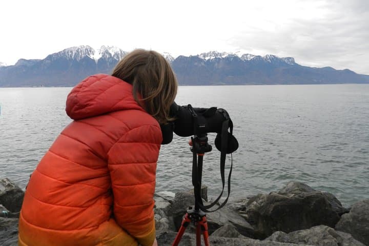 Discovering the birds of Lake Geneva