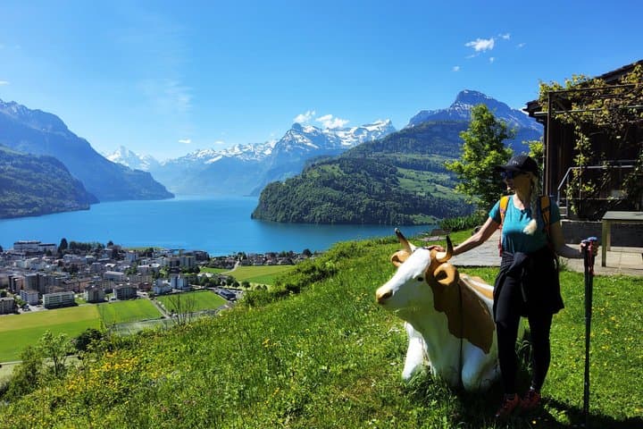 Spectacular Hidden Gem Day Tour Lake Views and Swiss Alps