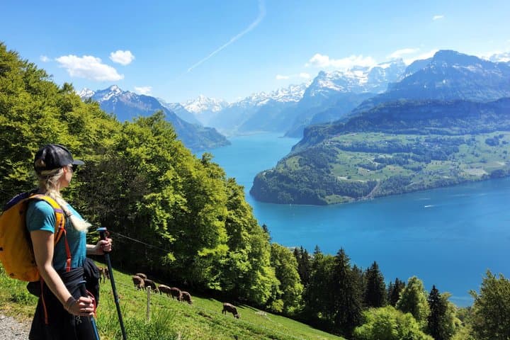 Spectacular Hidden Gem Day Tour Lake Views and Swiss Alps