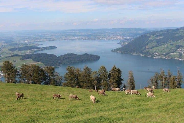 3 in 1: Lucerne Old Town - Lake Cruise - Cable Car Small Group
