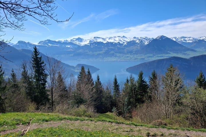 Rigi Hiking Experience Mark Twain Path and Train Ride