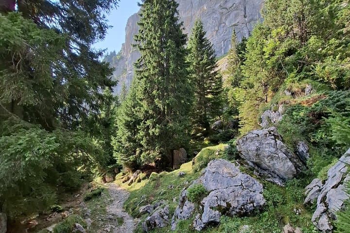 Pilatus Hiking Adventure supported by Train and Gondola