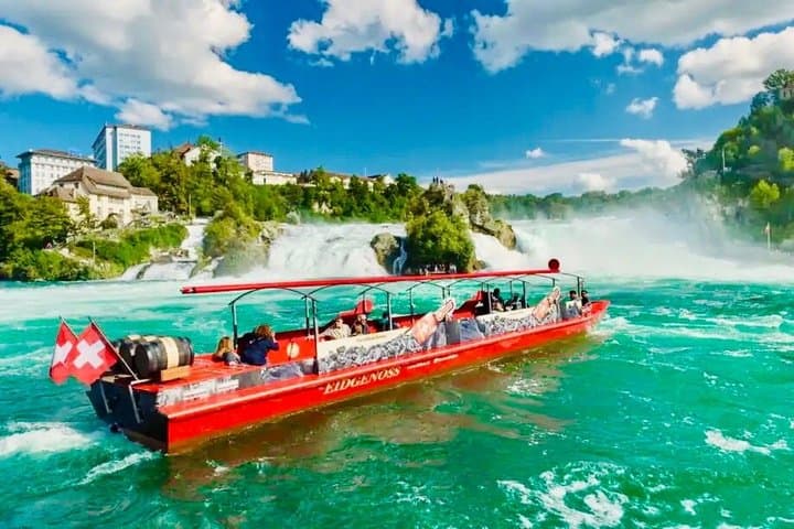 Rhine Falls Private Day Tour from Zurich