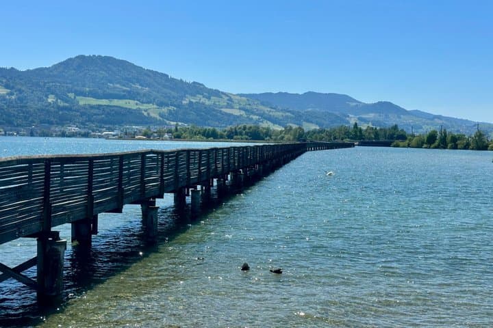 Private Tour with Picnic in the Alps