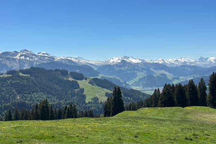 Private Tour with Picnic in the Alps