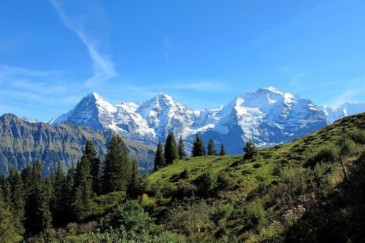 Private Tour Interlaken, Iseltwald, Lauterbrunnen & Grindelwald