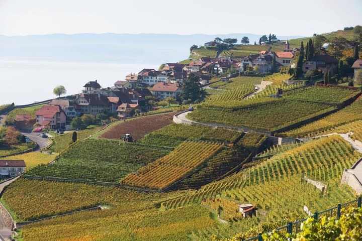 Lavaux UNESCO Vineyards and Tasting Private van from Montreux