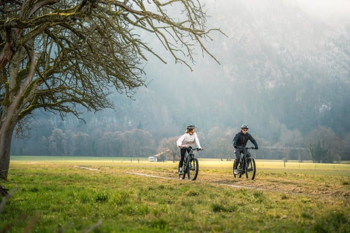 E-Bike Lake Tour Explore Interlaken and Lake Brienz