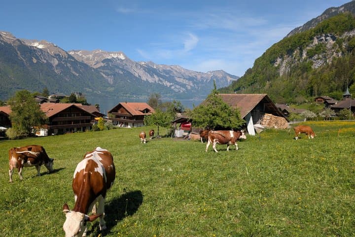 From Zurich: Swiss Villages and Alpine Train in Small Group