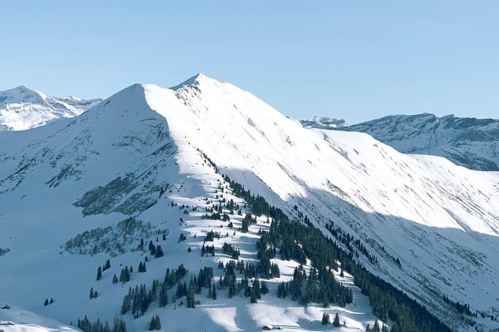 Private Concierge Swiss Alps Bespoke Experience