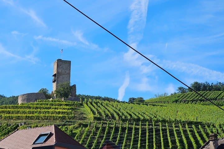 Alsatian Christmas Market and Wine Tasting Tour