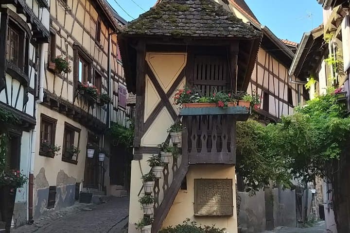 Alsatian Christmas Market and Wine Tasting Tour