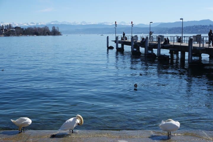 Mysteries of Zurich Walking Tour